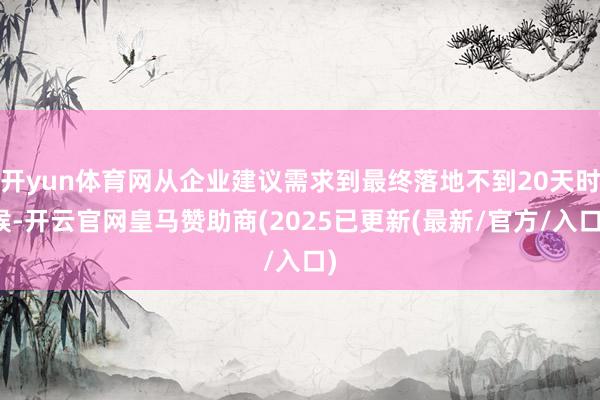 开yun体育网从企业建议需求到最终落地不到20天时候-开云官网皇马赞助商(2025已更新(最新/官方/入口)