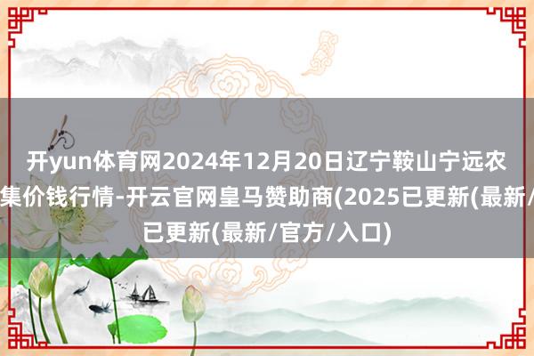 开yun体育网2024年12月20日辽宁鞍山宁远农产物批发市集价钱行情-开云官网皇马赞助商(2025已更新(最新/官方/入口)