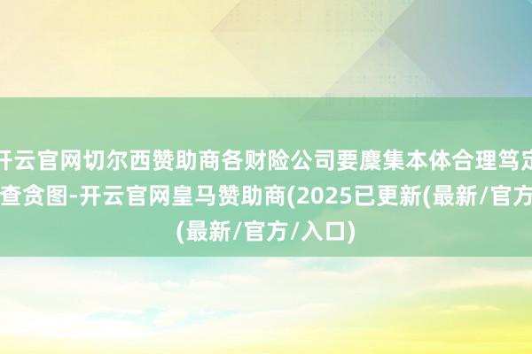 开云官网切尔西赞助商各财险公司要麇集本体合理笃定业务侦查贪图-开云官网皇马赞助商(2025已更新(最新/官方/入口)