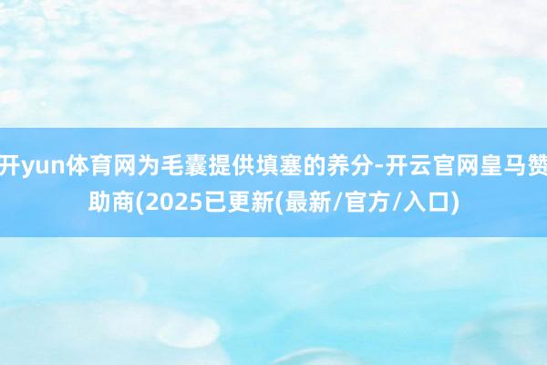 开yun体育网为毛囊提供填塞的养分-开云官网皇马赞助商(2025已更新(最新/官方/入口)